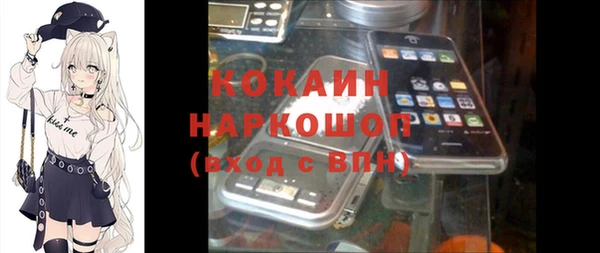 стаф Нея