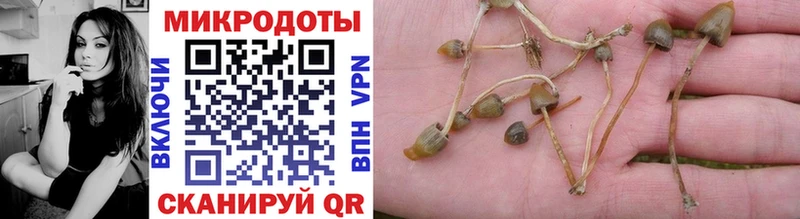 Псилоцибиновые грибы Psilocybine cubensis  хочу   Микунь 