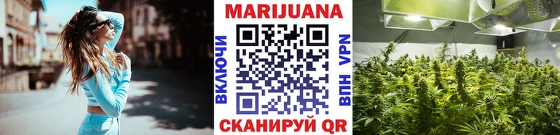 цены   Микунь  Бошки марихуана план 